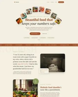 Diabetic Meal Kit | Free Website Template | Rocket