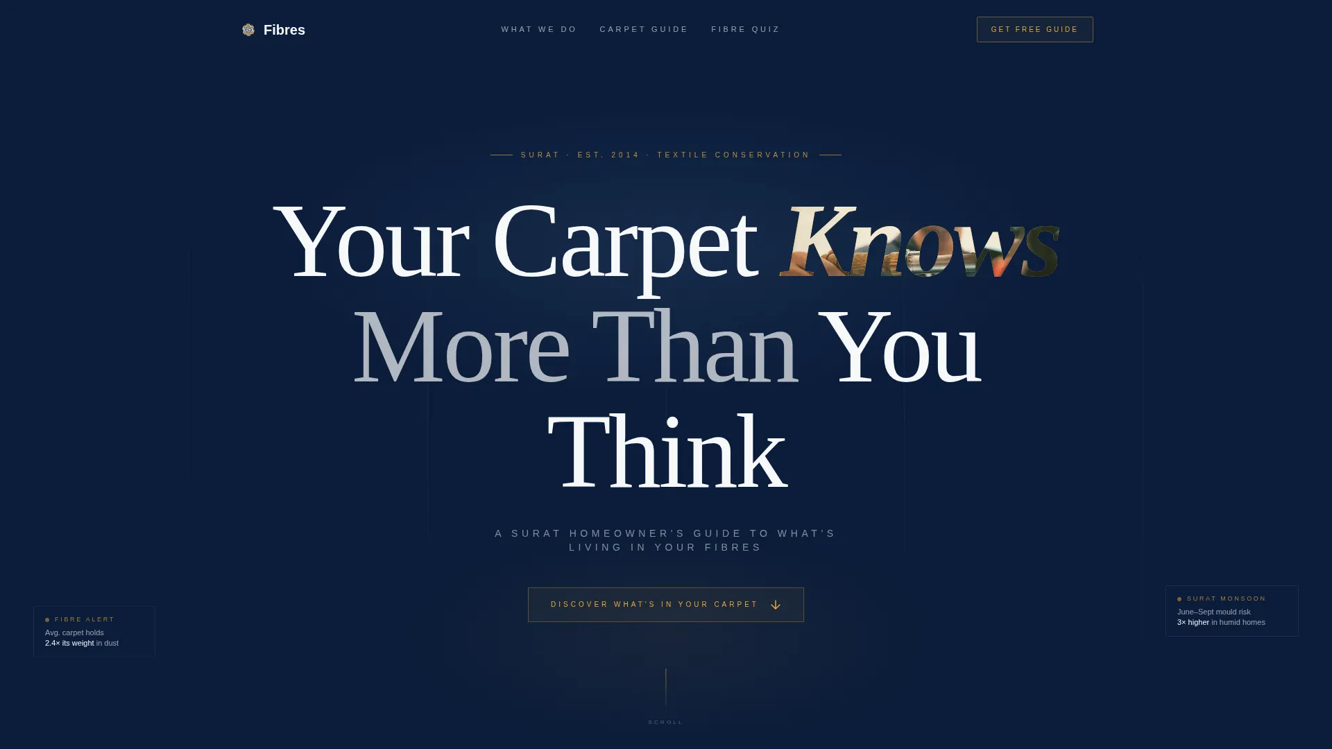Authoritative Carpetcleaning | Free Website Template | Rocket