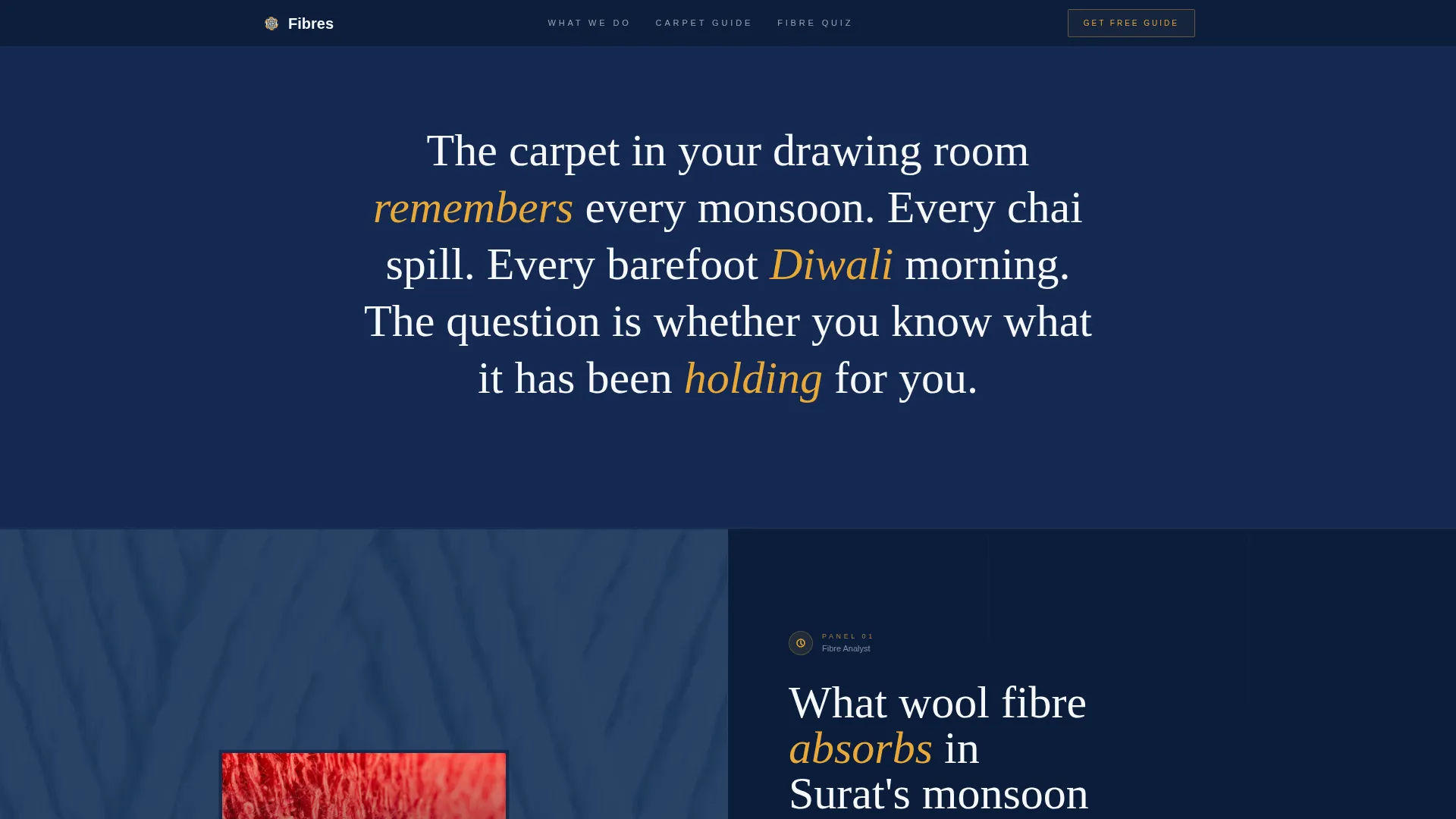 Authoritative Carpetcleaning | Free Website Template | Rocket