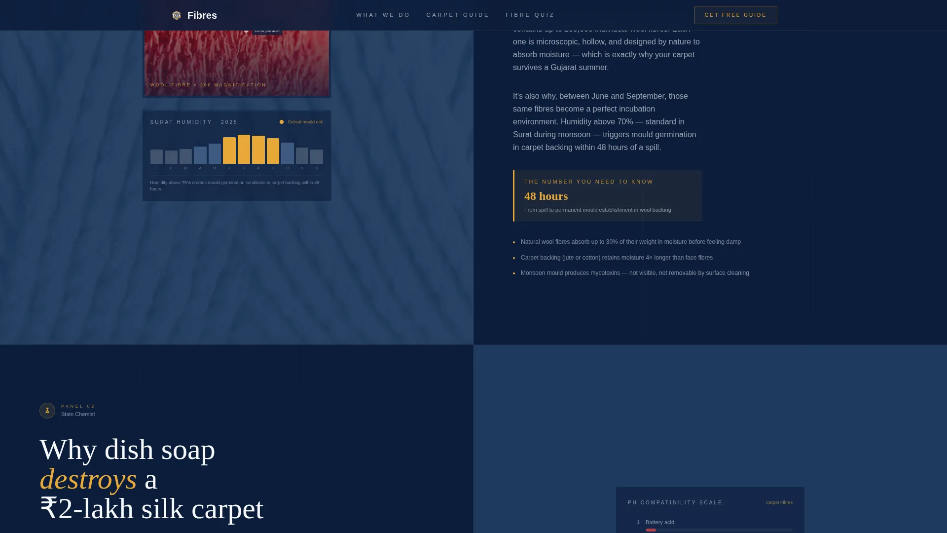 Authoritative Carpetcleaning | Free Website Template | Rocket