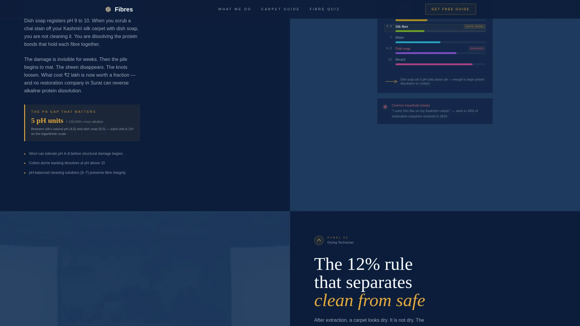 Authoritative Carpetcleaning | Free Website Template | Rocket