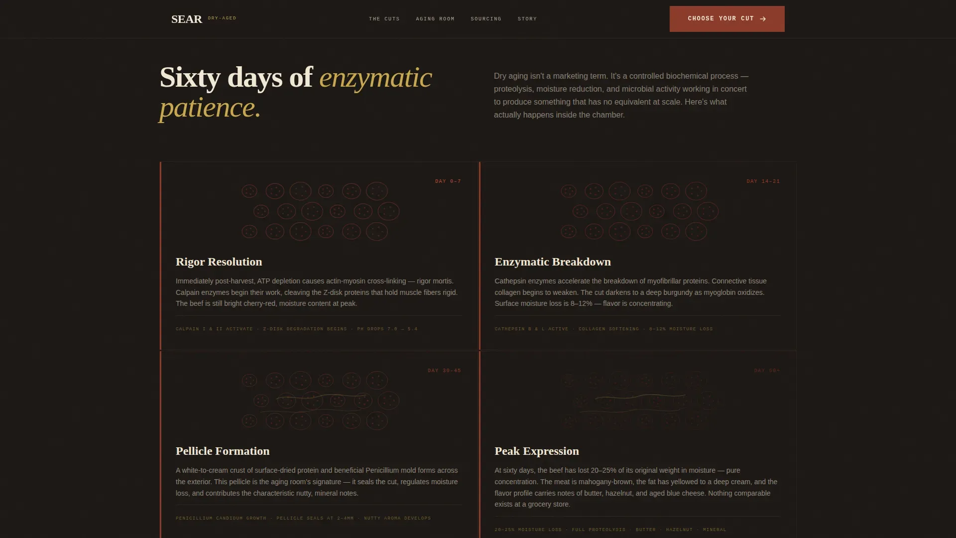 Meat & Seafood Pricing Website Template
