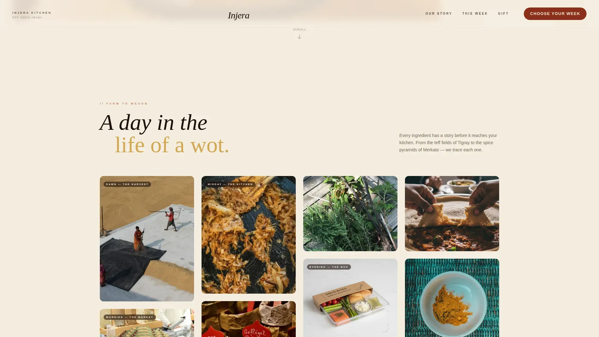 Ethiopian Meal Kit Delivery Landing Page Template