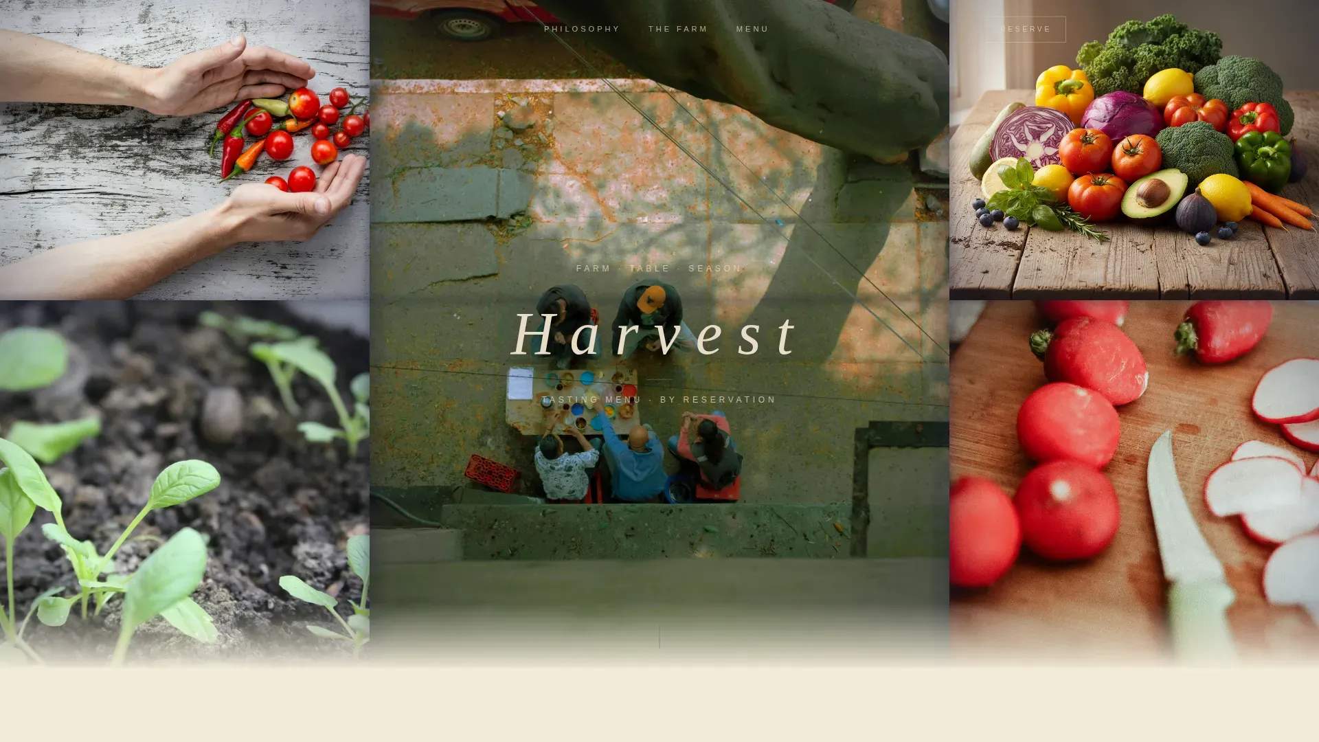 Restaurant & Dining Specialist Professional Website Template