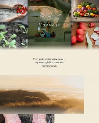 Restaurant & Dining Specialist Professional Website Template