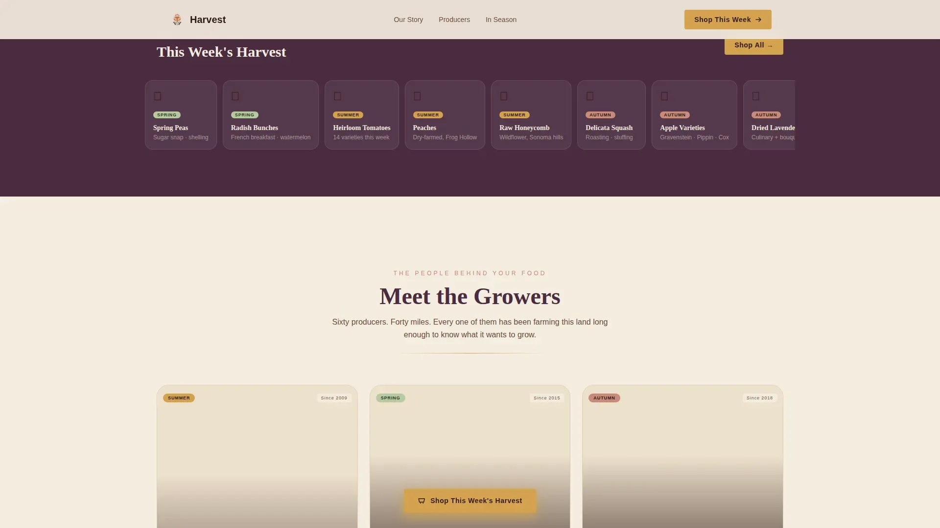 Grocery & Food Retail Professional Website Template