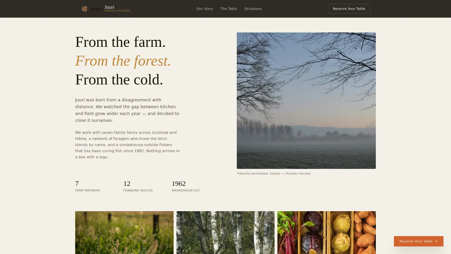 Artisan Finnish Catering Landing Page Template