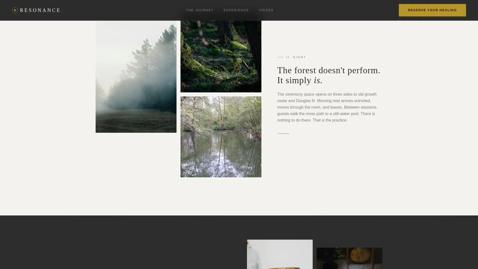 Wellness Modalities Booking Website Template