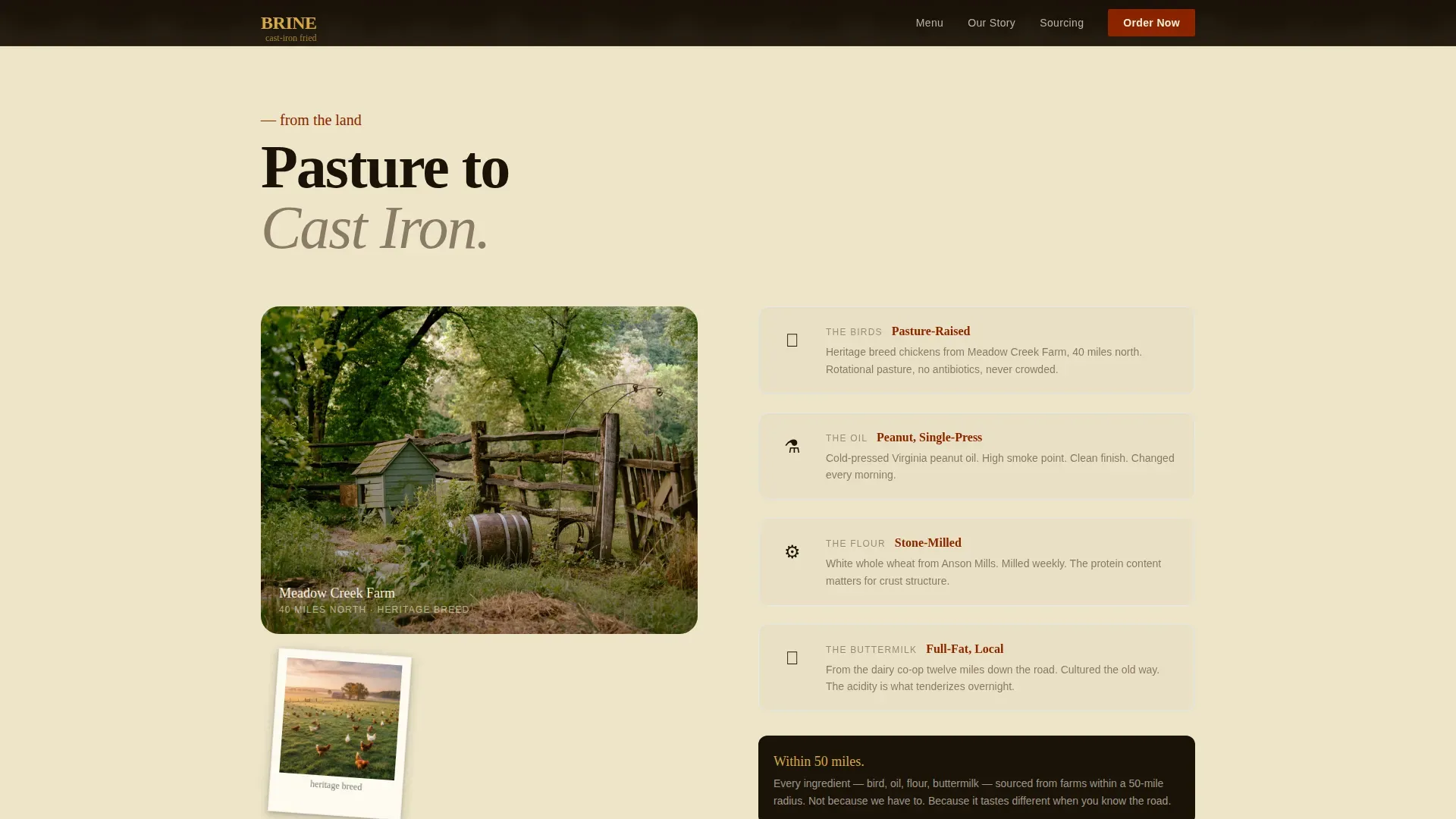 Street Food & Market Stall Professional Website Template