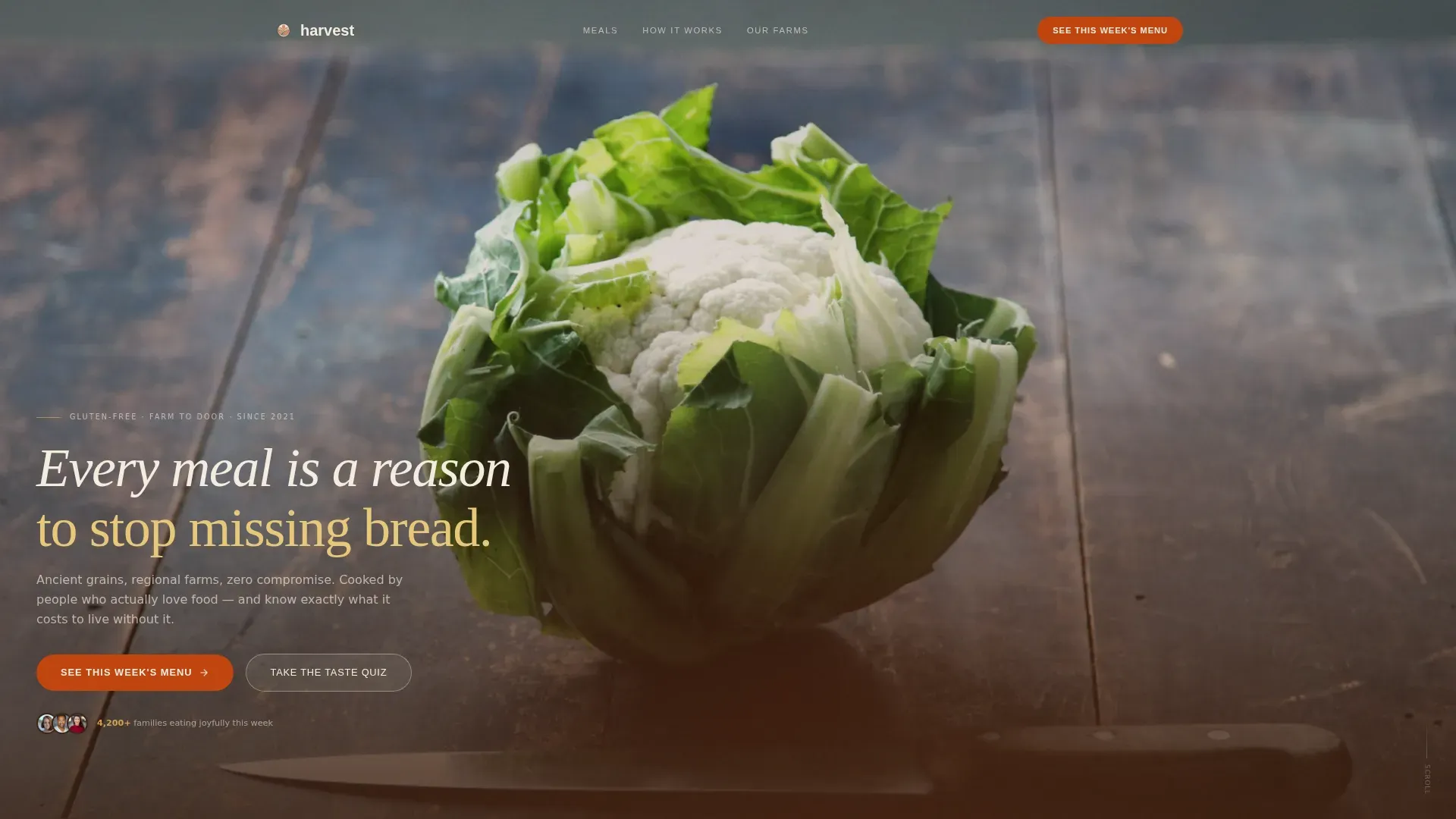 Gluten-Free Meals | Free Website Template | Rocket