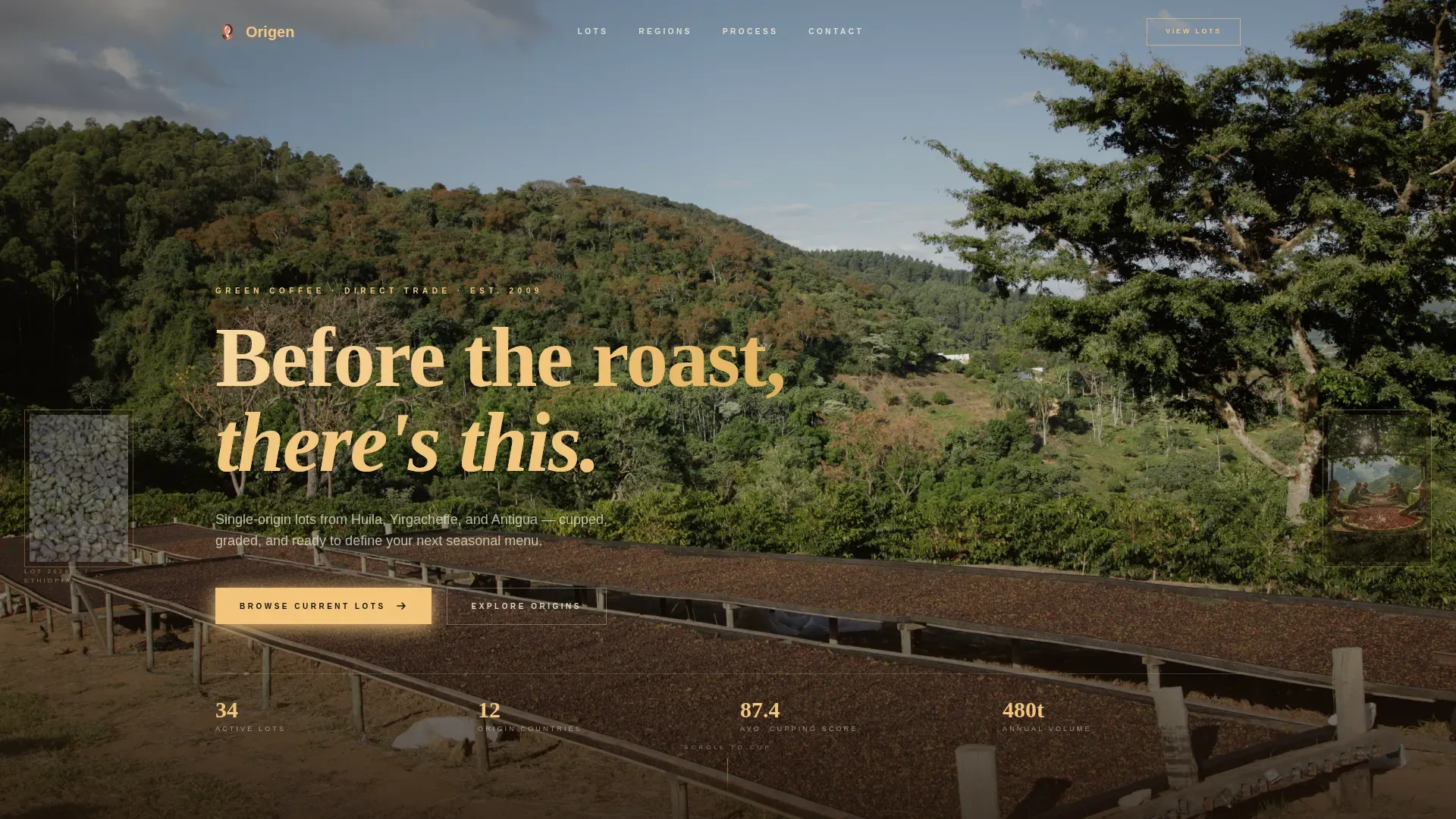 Premium Specialty Coffee Landing Page Template