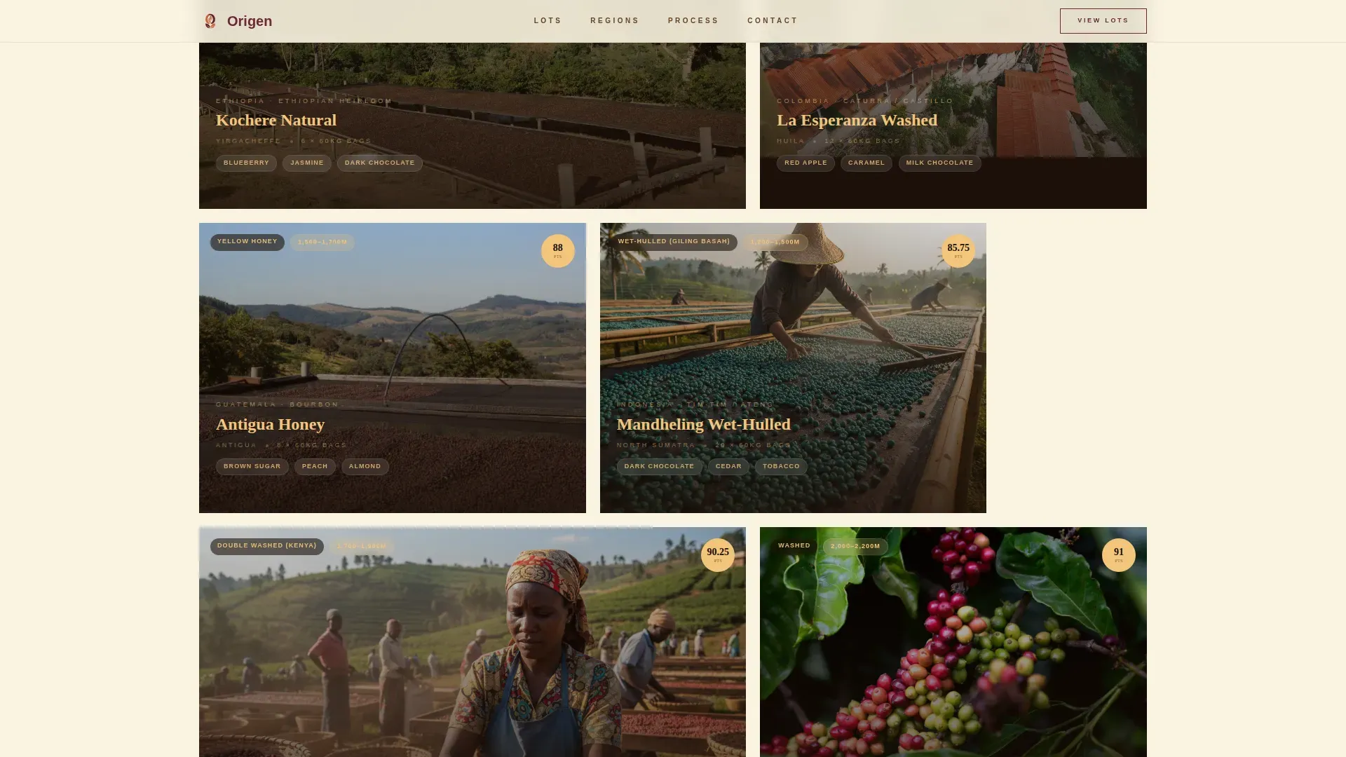 Premium Specialty Coffee Landing Page Template