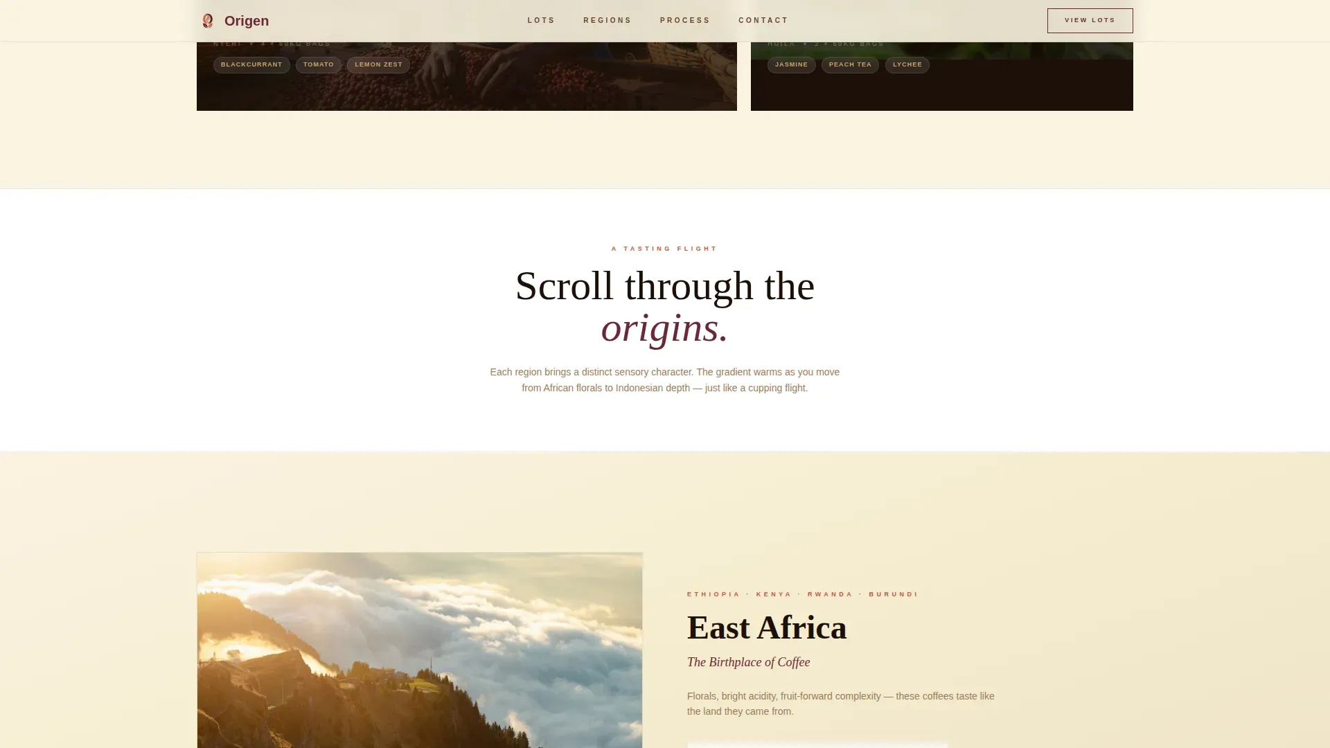 Premium Specialty Coffee Landing Page Template