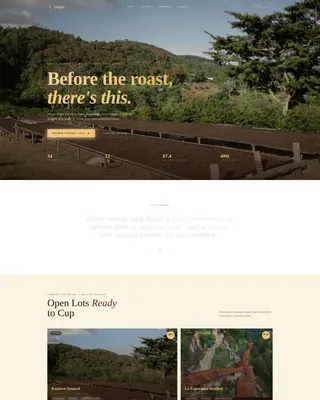 Premium Specialty Coffee Landing Page Template
