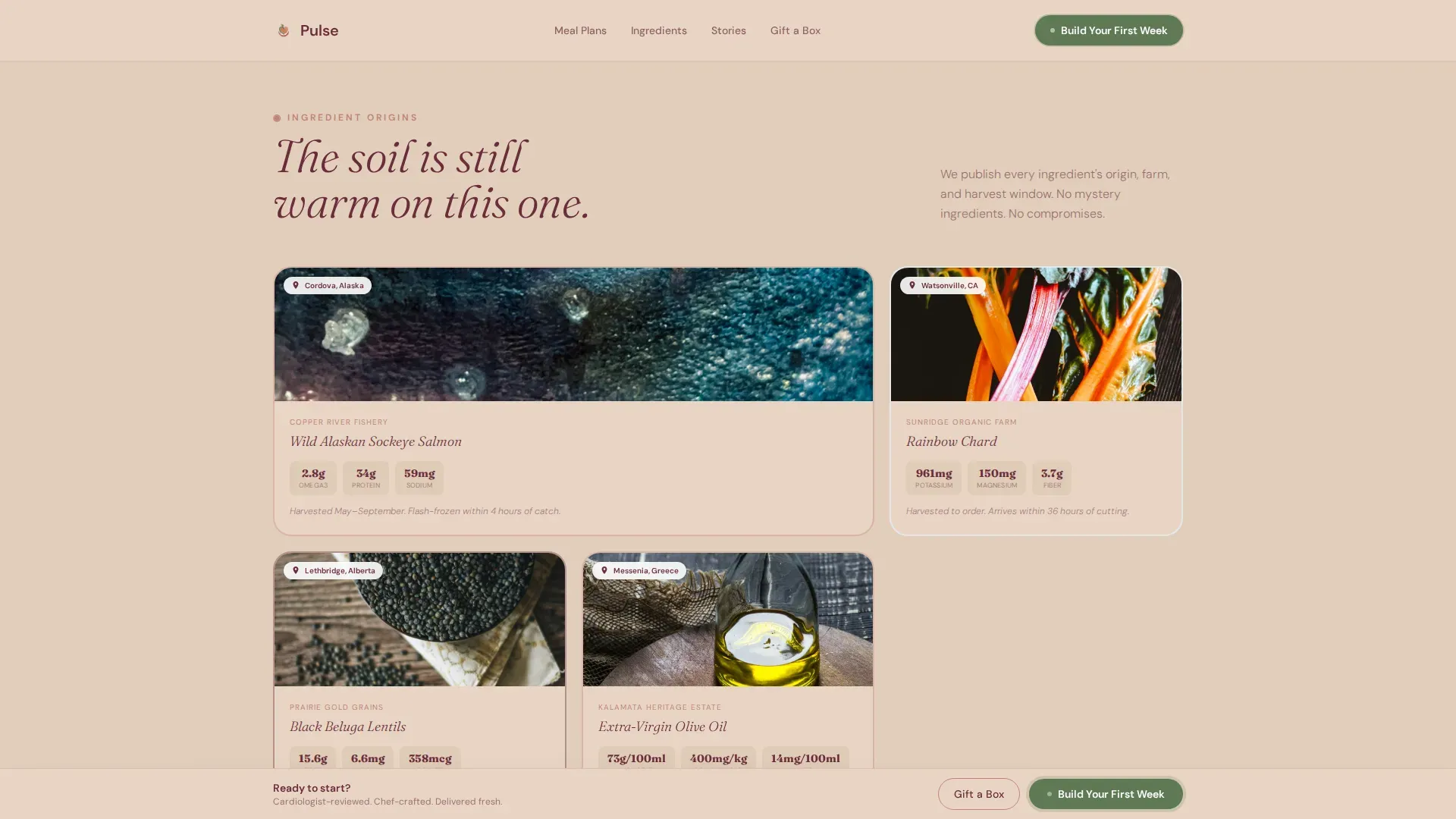 Expert Wellness Catering | Free Website Template | Rocket