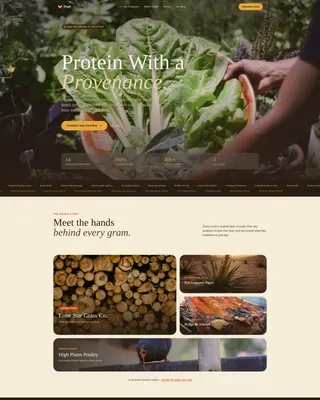 High-Protein Food & Dining Specialist Reviews Website Template
