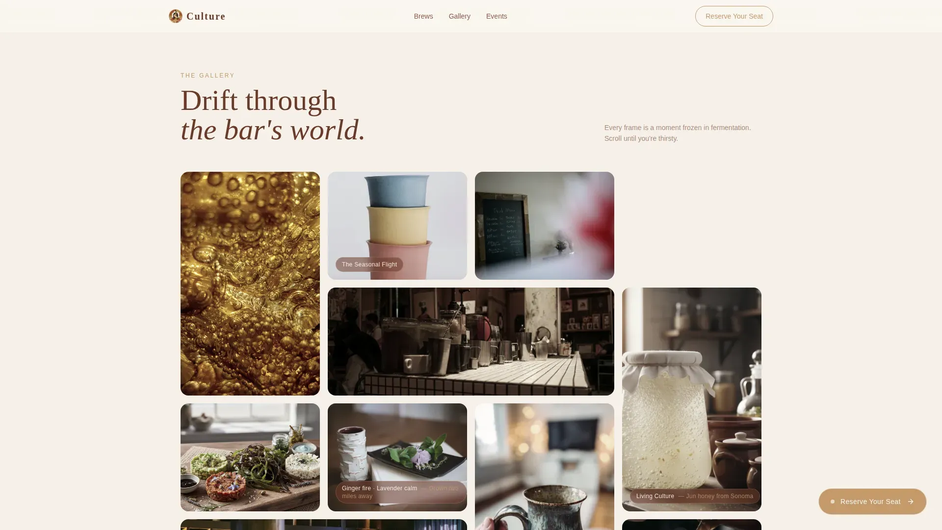 Luxe Minimal Kombucha Probiotic Bar Landing Page