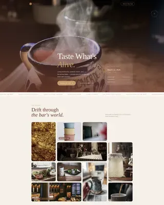 Luxe Minimal Kombucha Probiotic Bar Landing Page