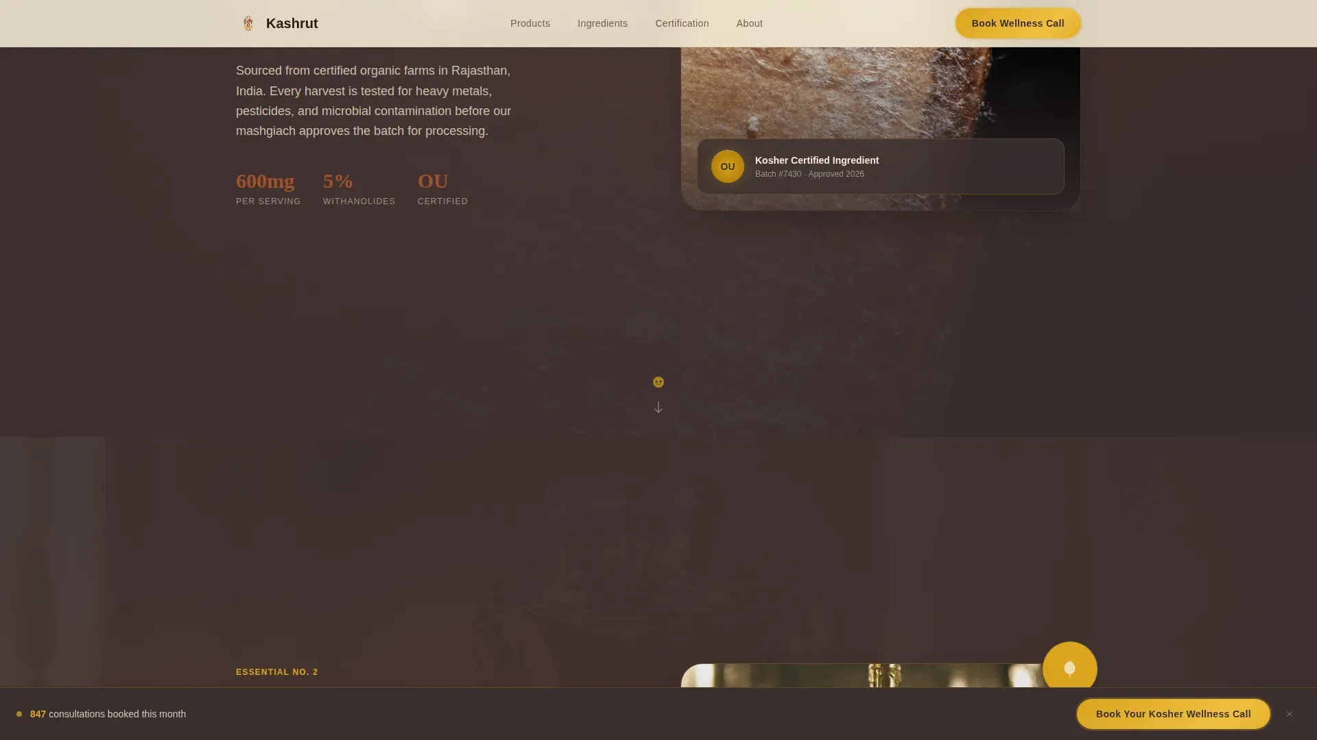 Advanced Kosher Food & Dining Appointment Booking Website Template