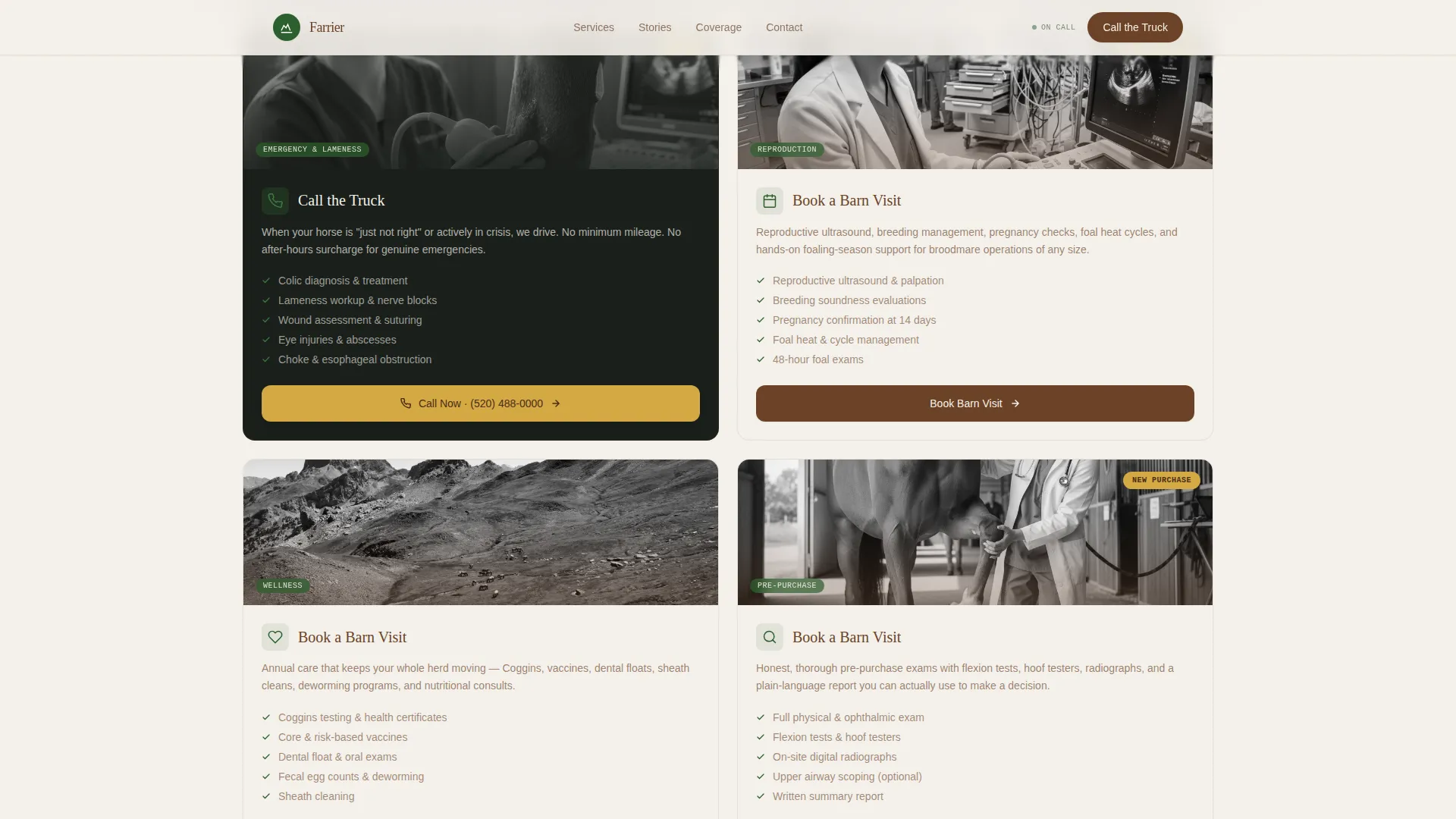 Horse & Equestrian Booking Website Template
