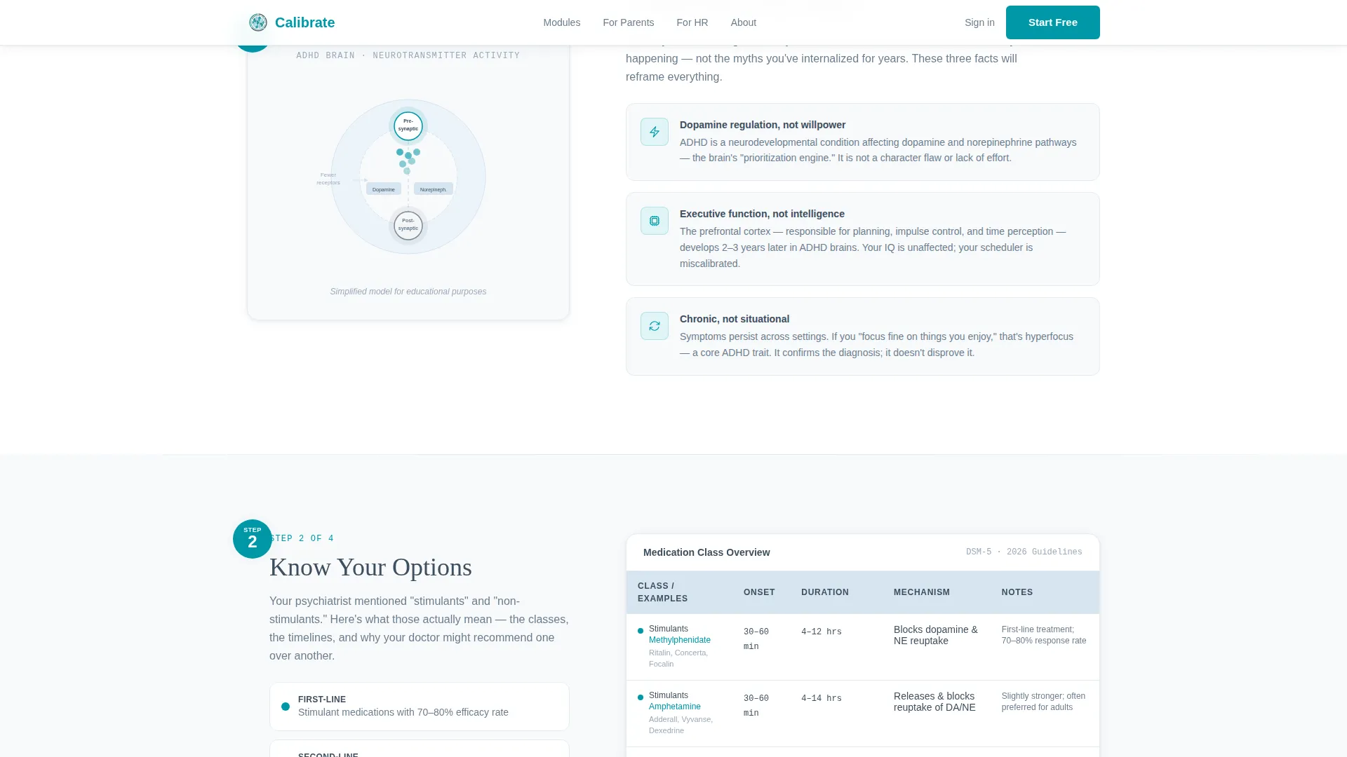 ADHD Care Education Website Template