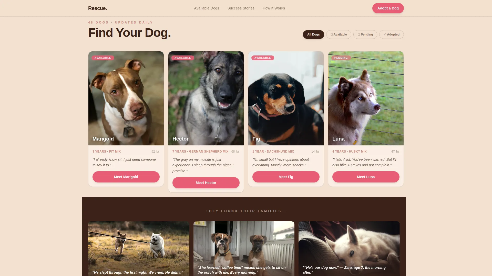 Pet Adoption & Rescue Professional Website Template