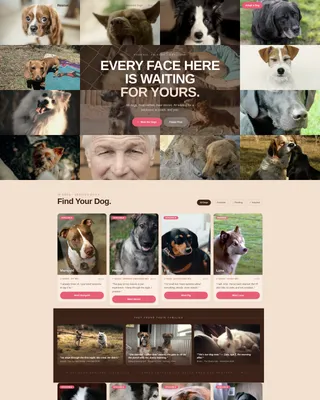 Pet Adoption & Rescue Professional Website Template