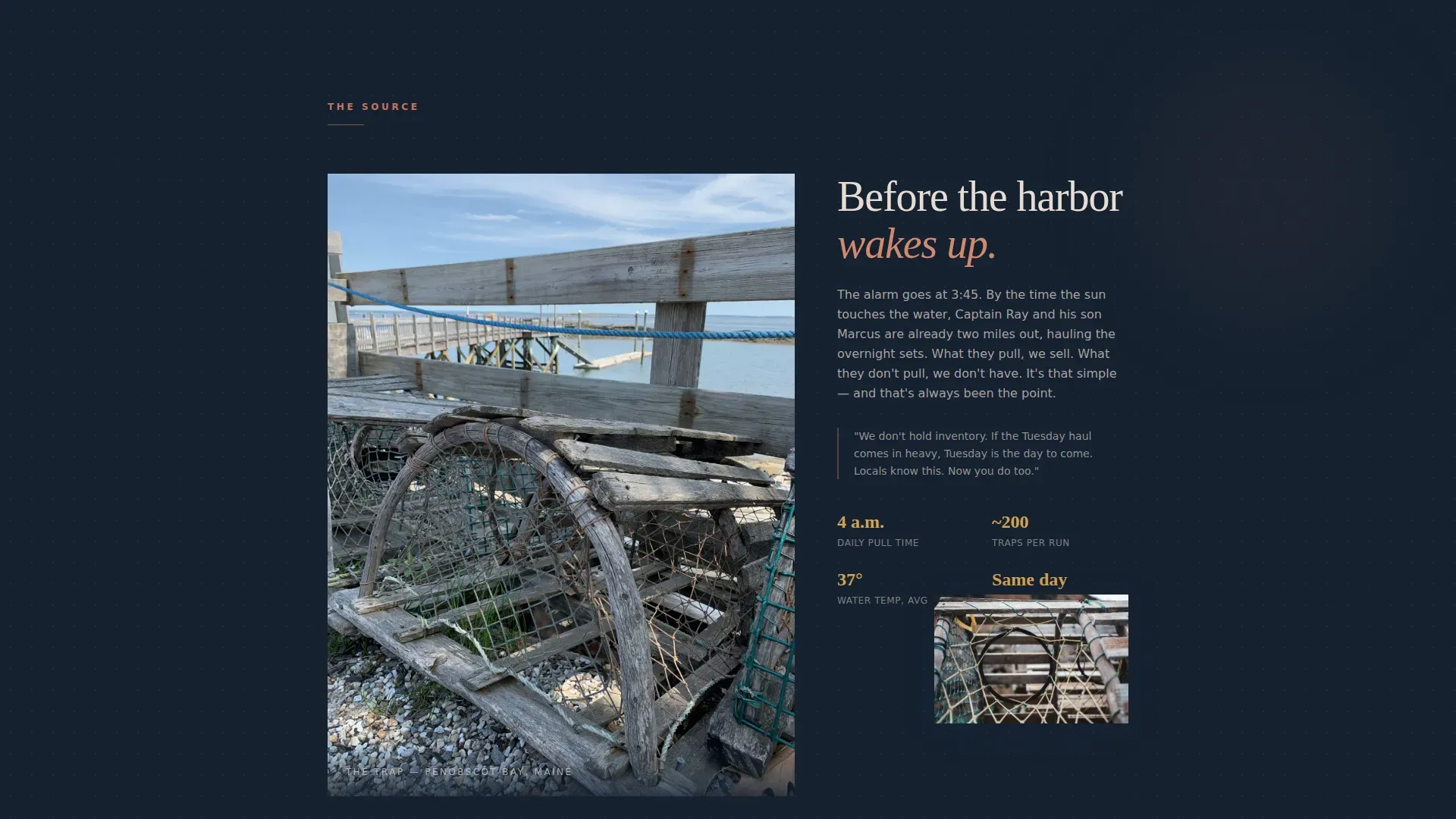 Expert Meat & Seafood Professional Website Template