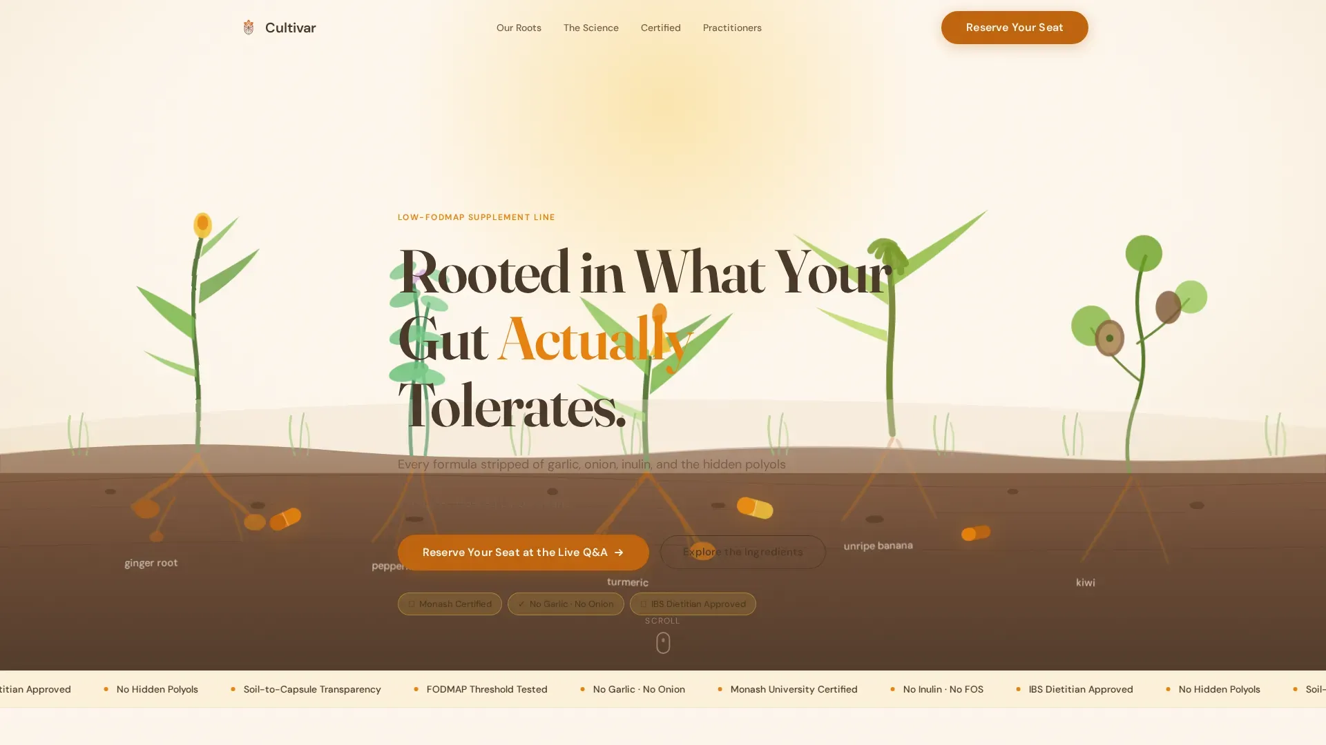 Low-FODMAP Food & Dining Portfolio & Case Study Website Template