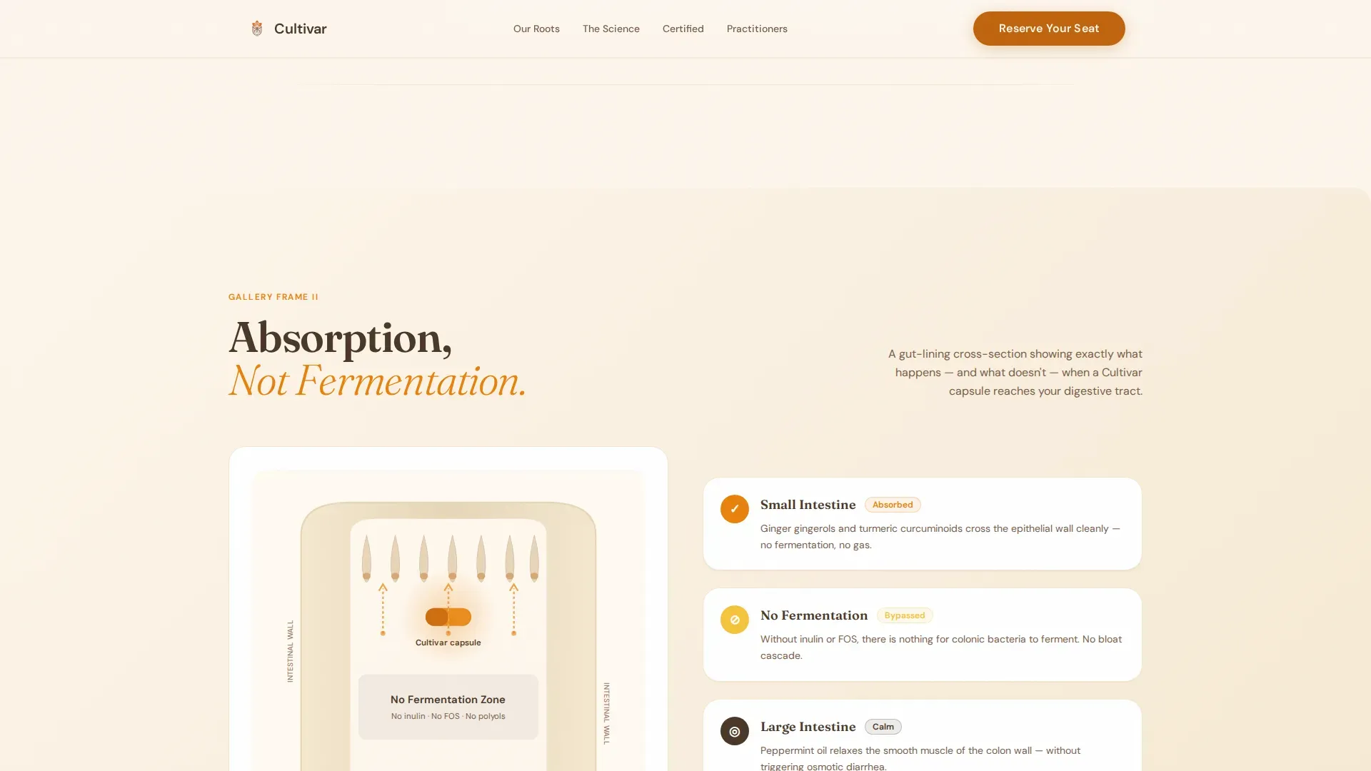 Low-FODMAP Food & Dining Portfolio & Case Study Website Template