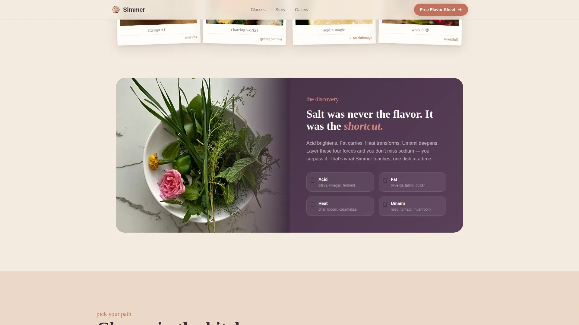 Low-Sodium Cooking Class Landing Page Template