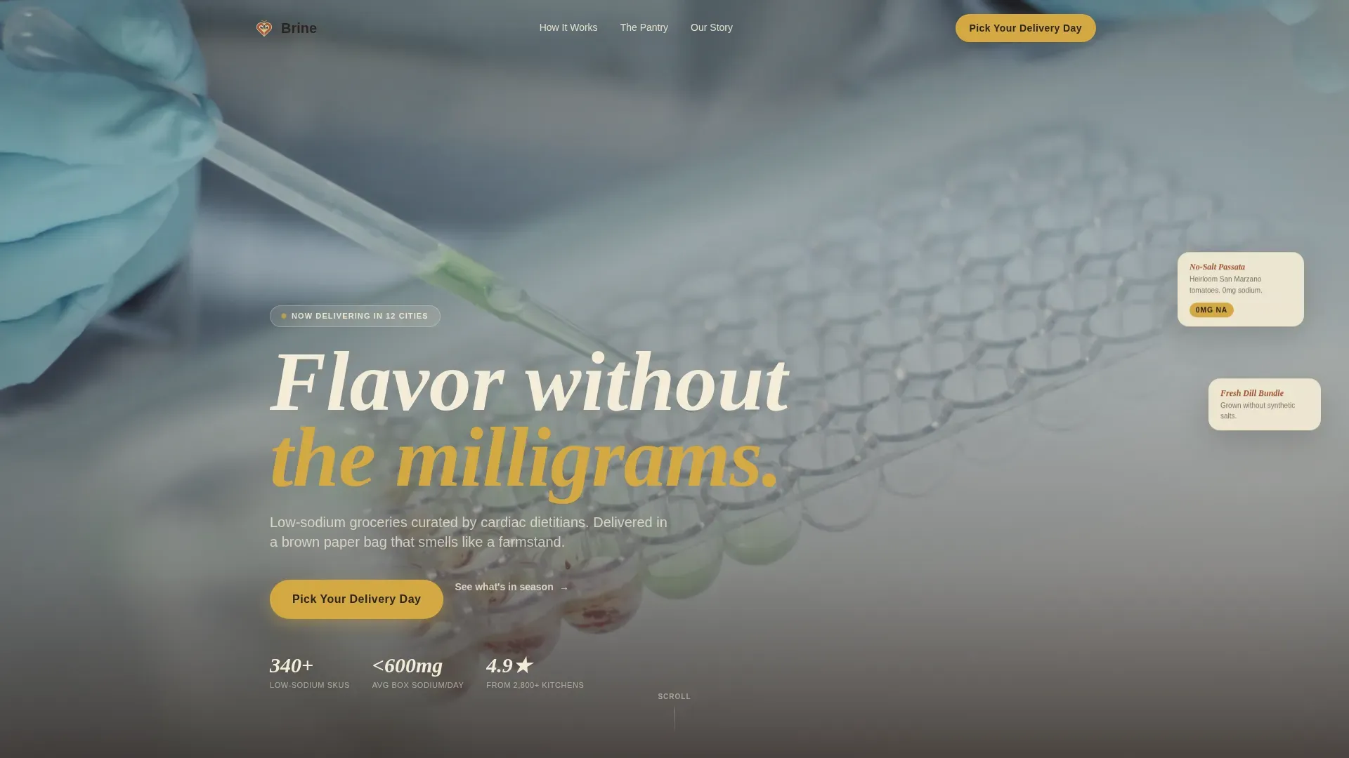 Rapid Wellness Delivery Landing Page Template