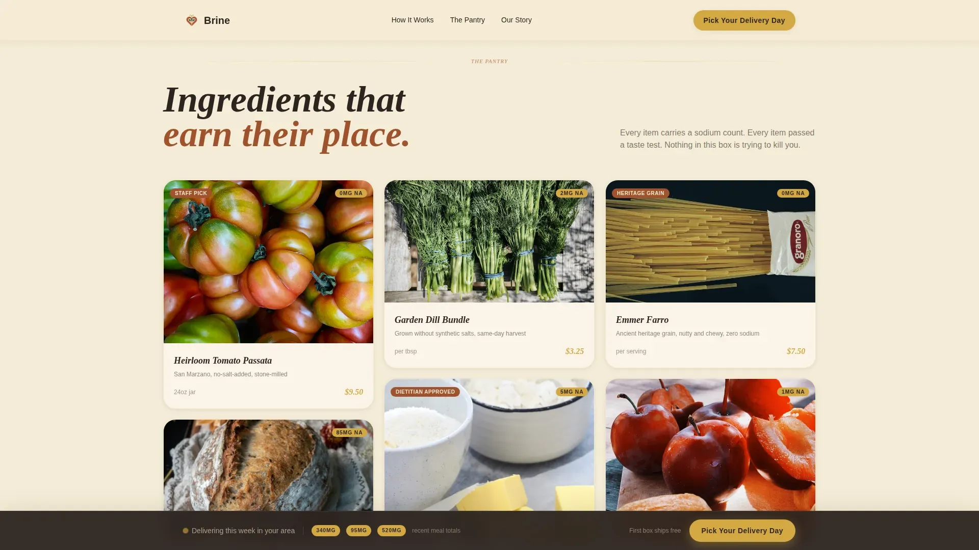 Rapid Wellness Delivery Landing Page Template