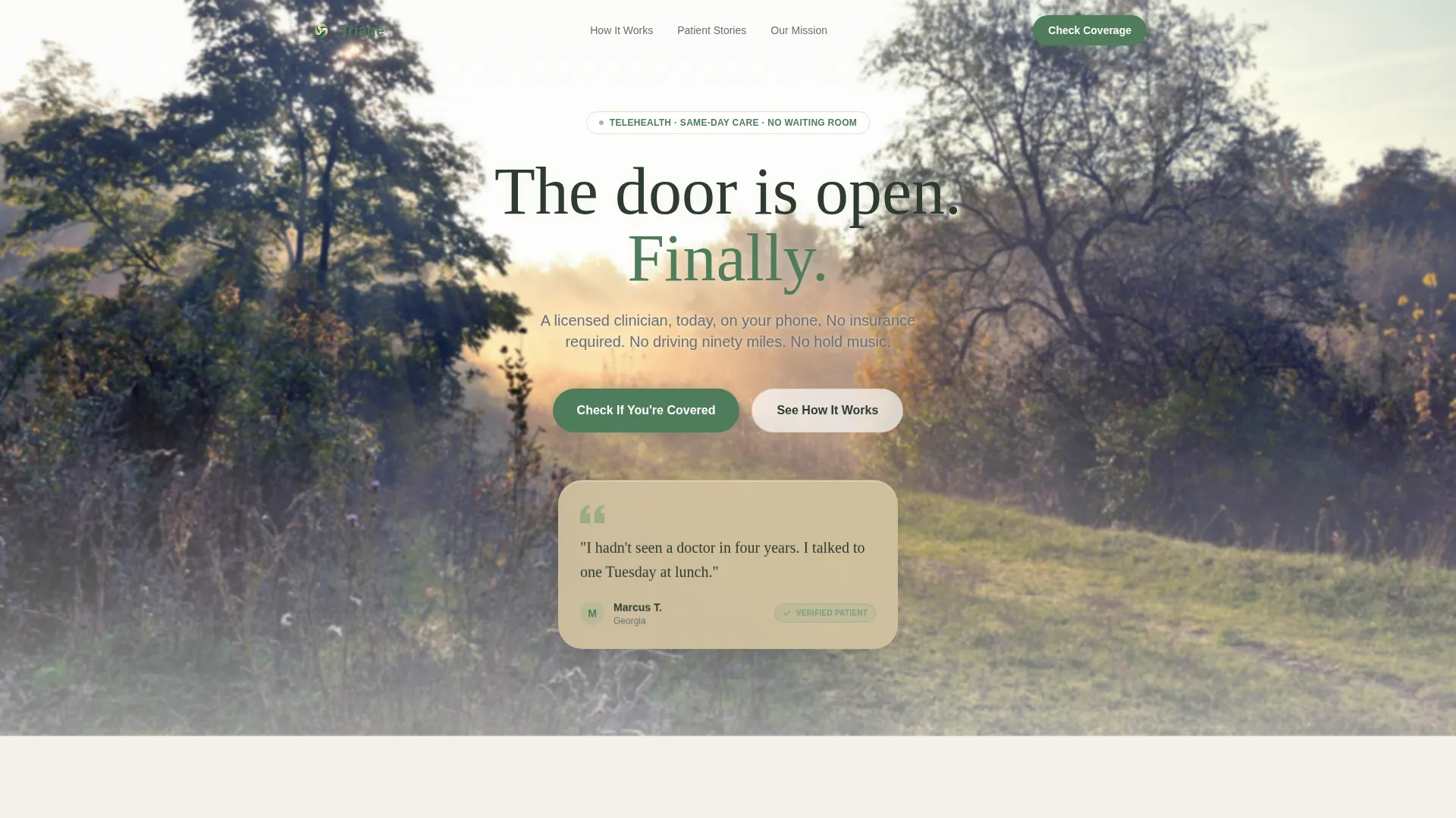 Healthcare Access Nonprofit Professional Website Template