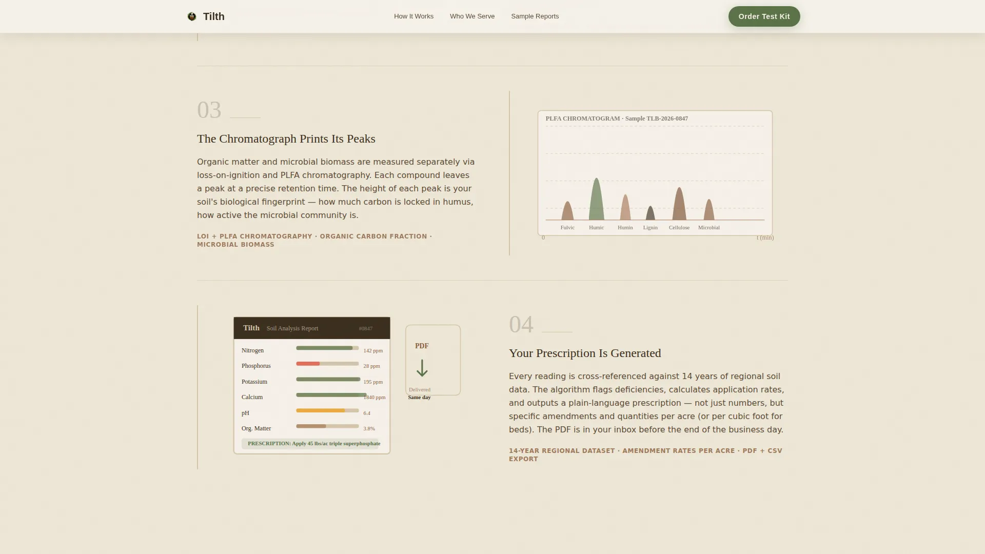 Environmental Consulting Professional Website Template