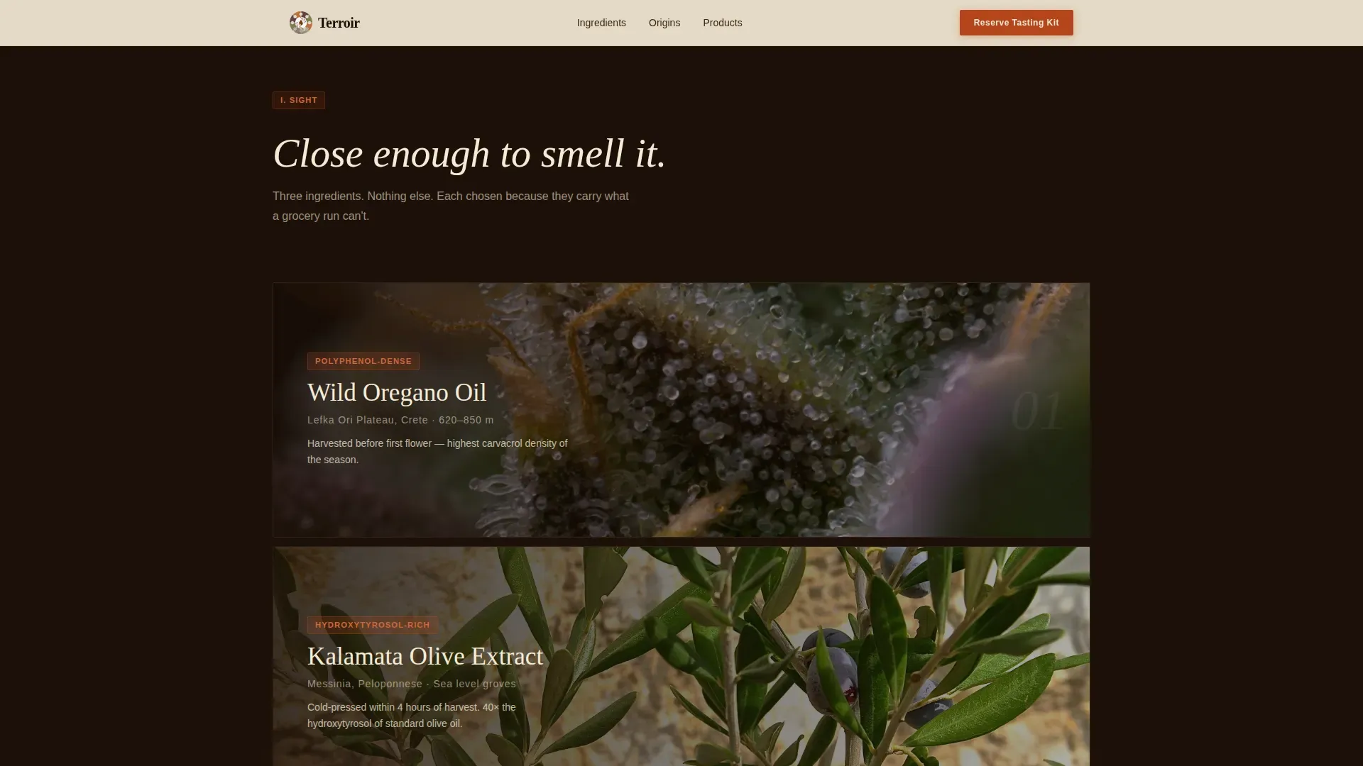Mediterranean Wellness Event Landing Page Template