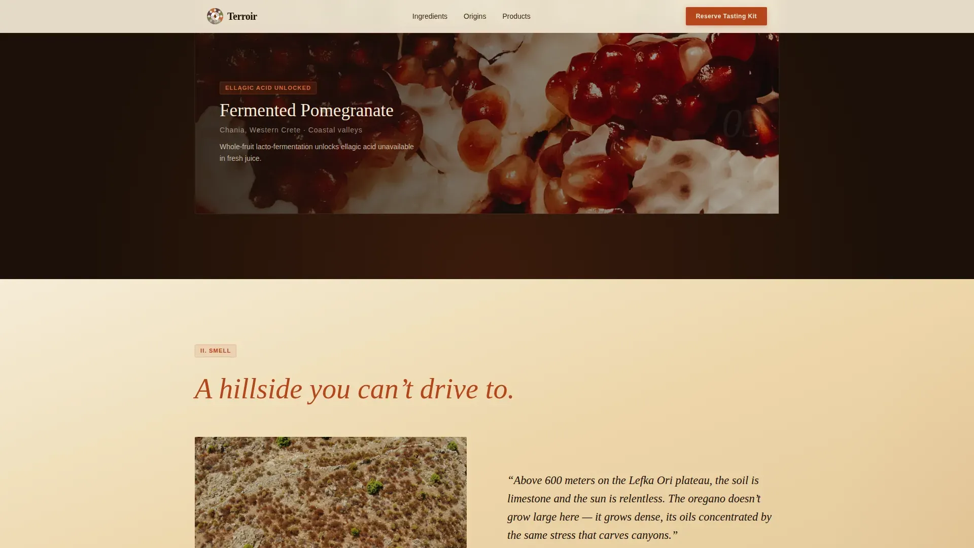 Mediterranean Wellness Event Landing Page Template