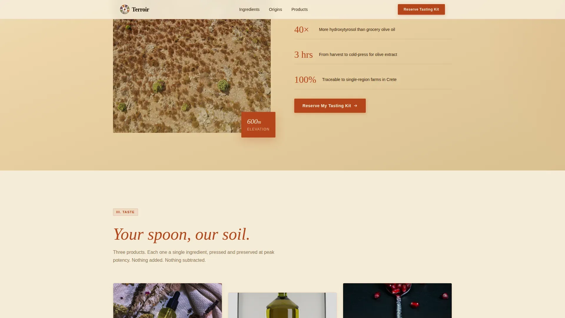 Mediterranean Wellness Event Landing Page Template