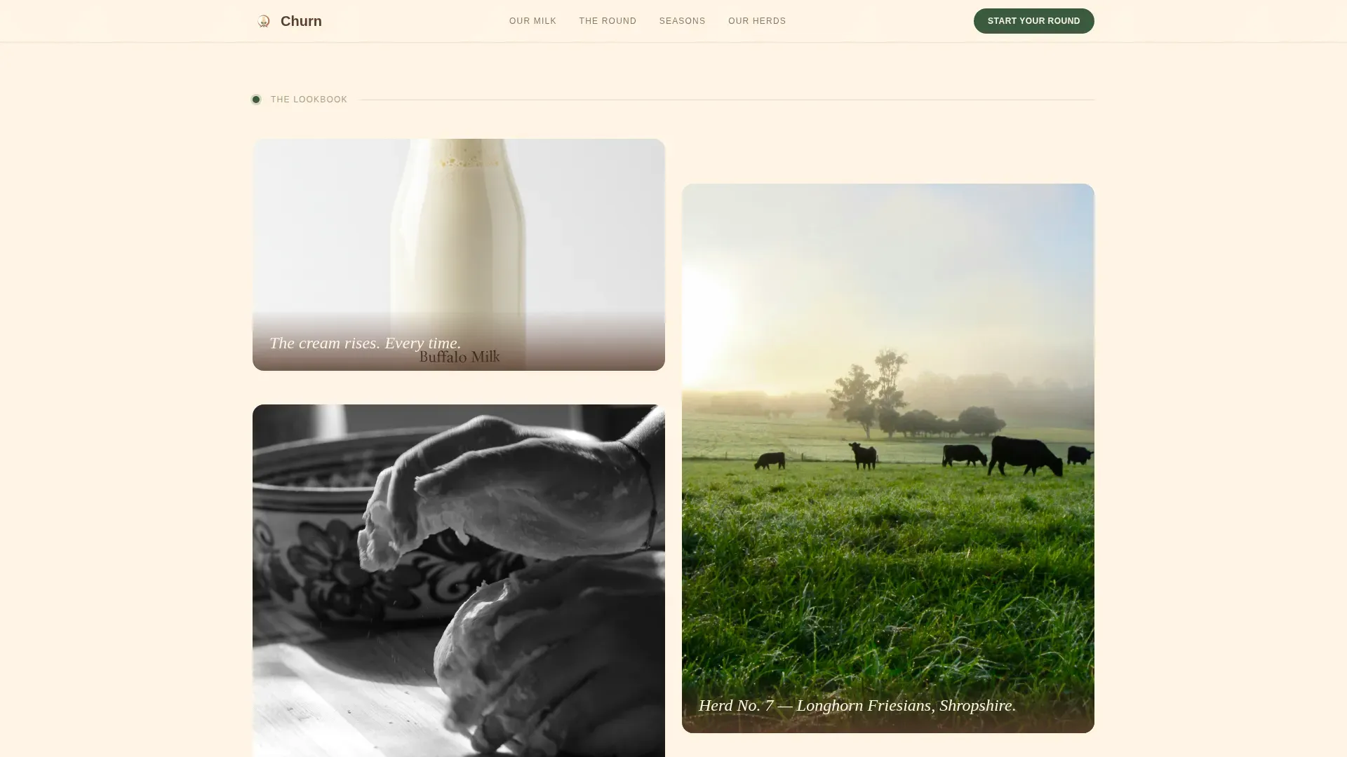 Fresh Dawn Dairy Delivery Landing Page Template