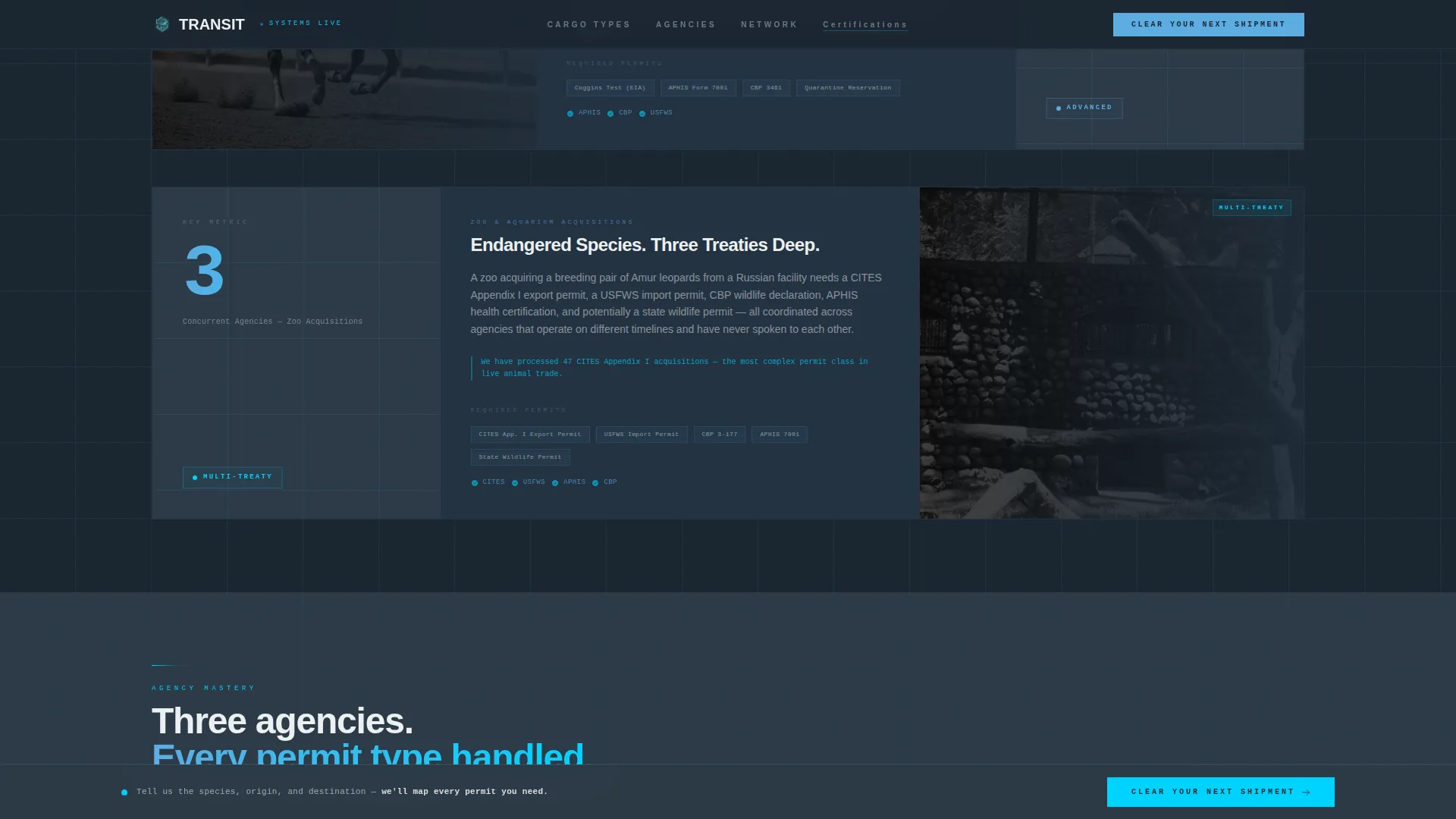Precision Liveanimal | Free Website Template | Rocket