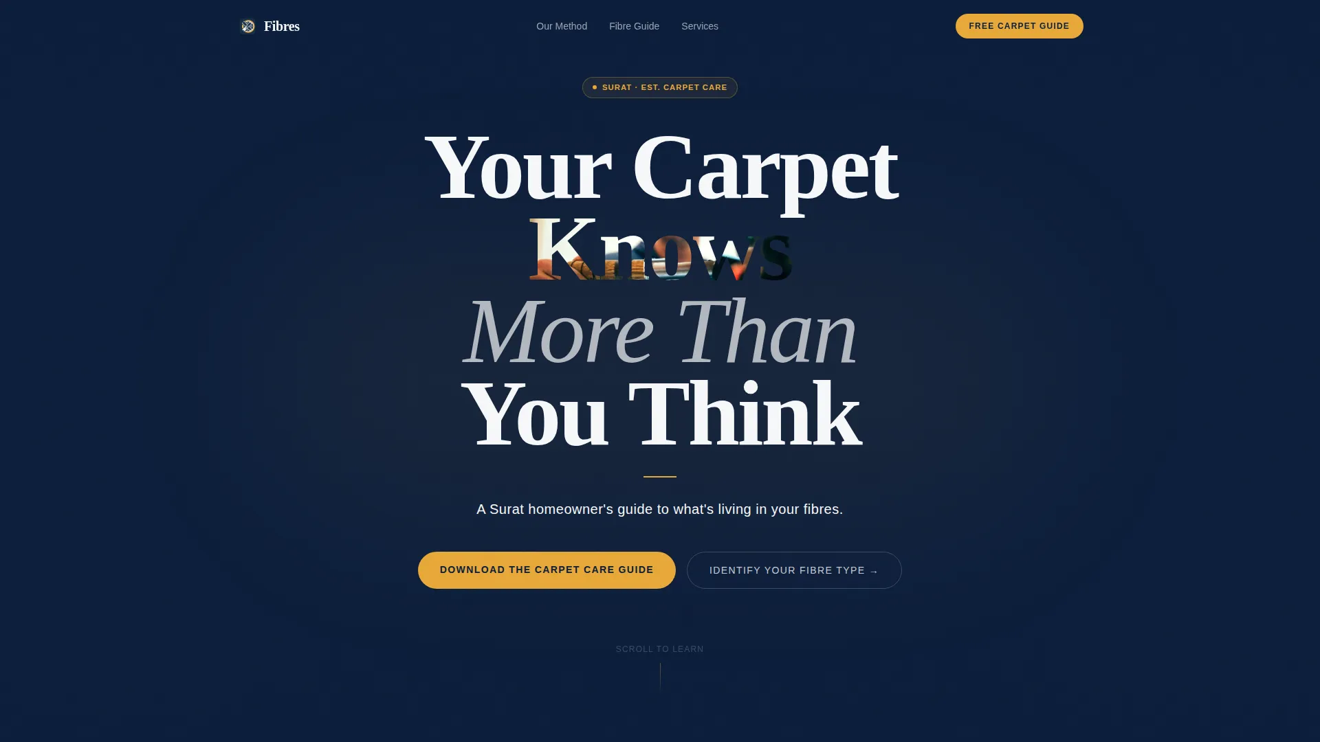 Expert Carpet Restoration Landing Page Template