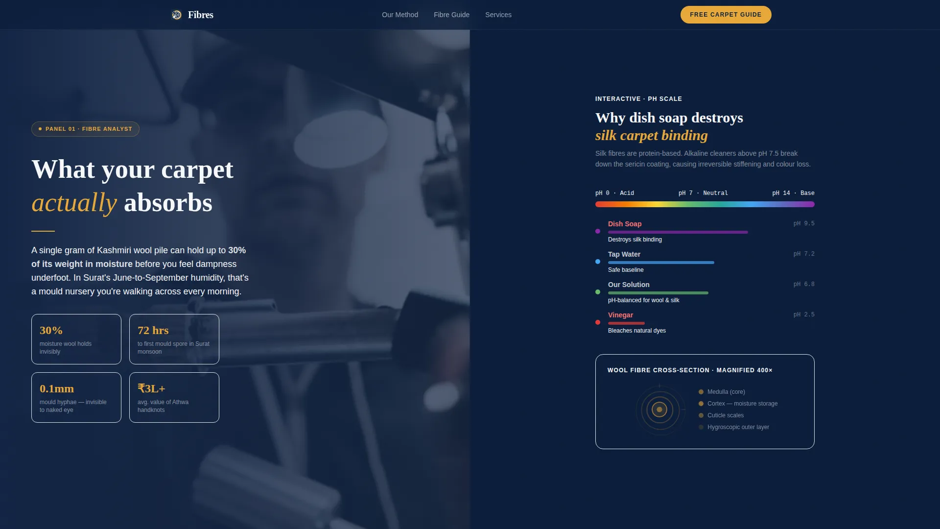 Expert Carpet Restoration Landing Page Template