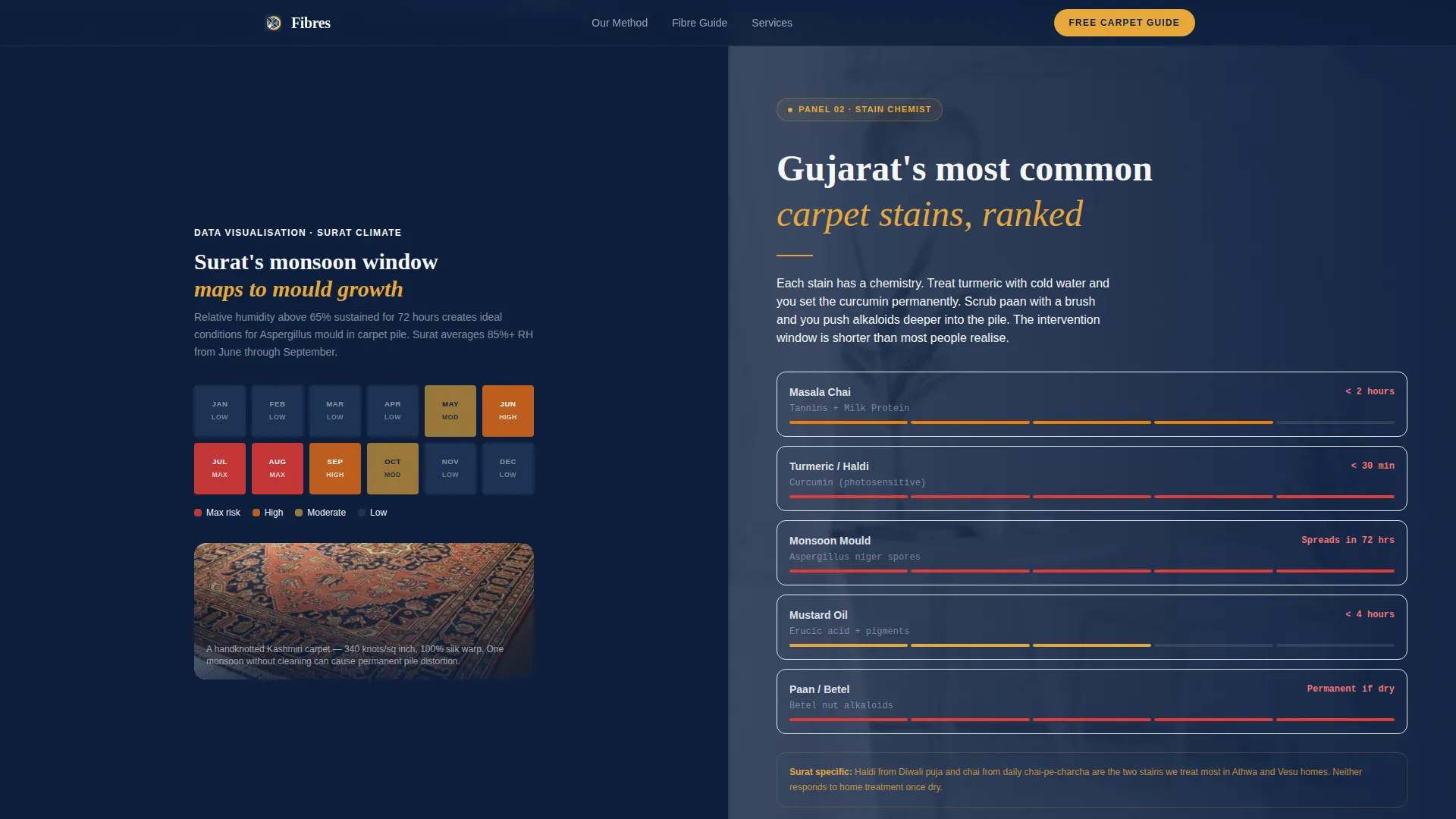 Expert Carpet Restoration Landing Page Template