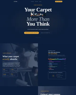 Expert Carpet Restoration Landing Page Template