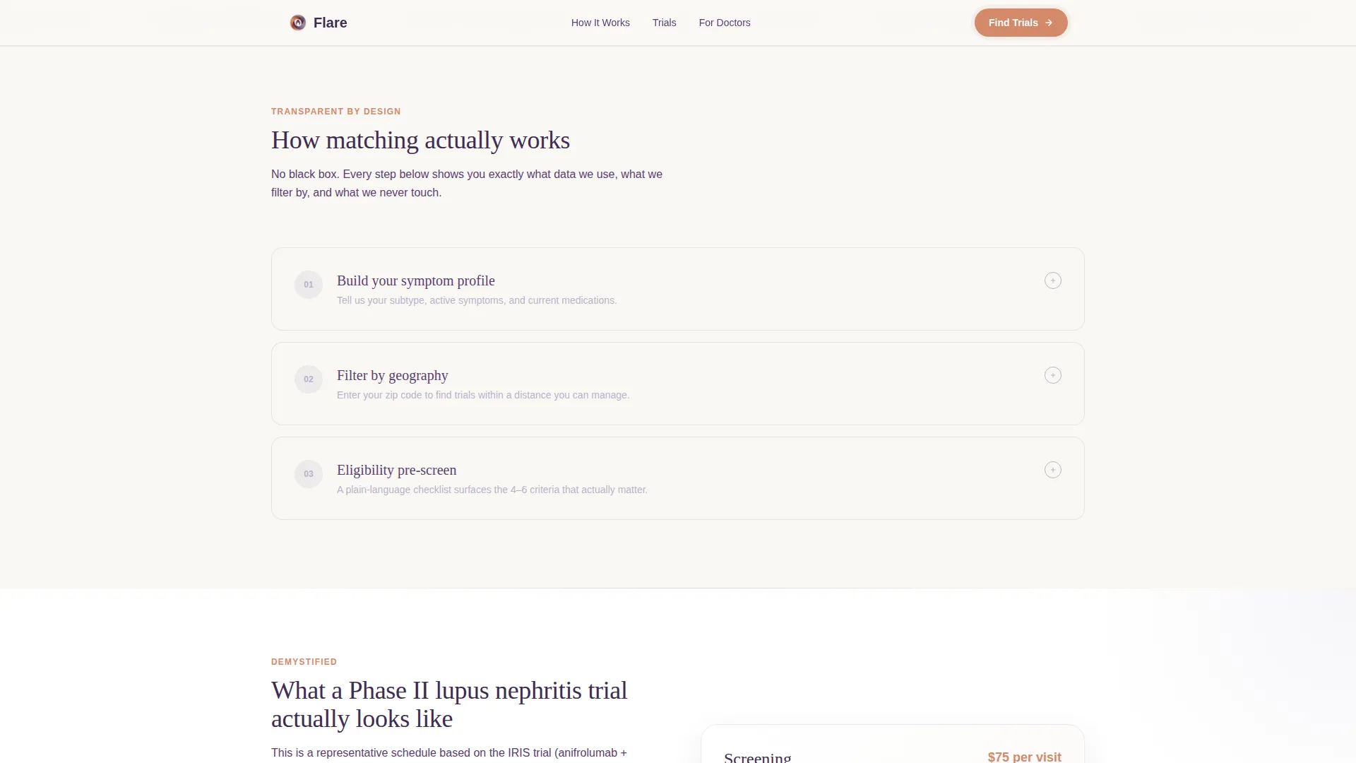 Lupus Care Professional Website Template