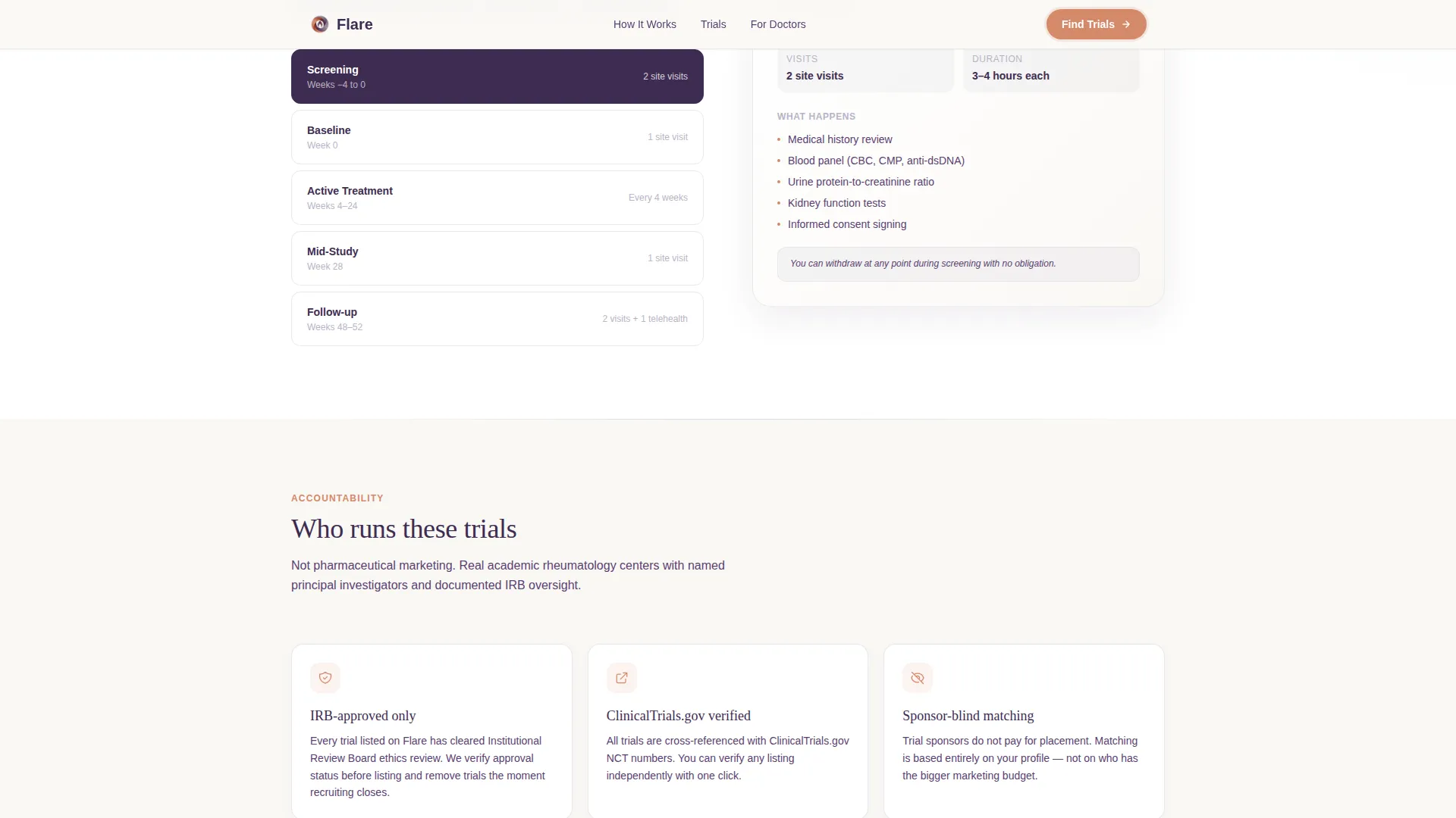 Lupus Care Professional Website Template