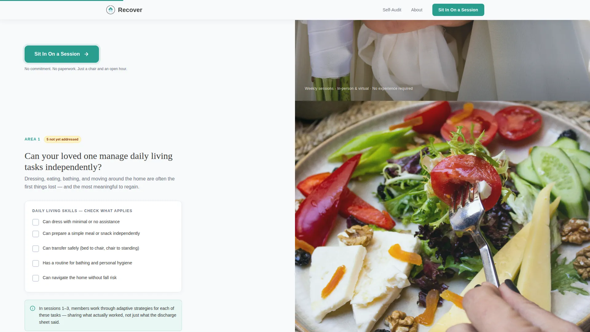Stroke Recovery Care Professional Website Template