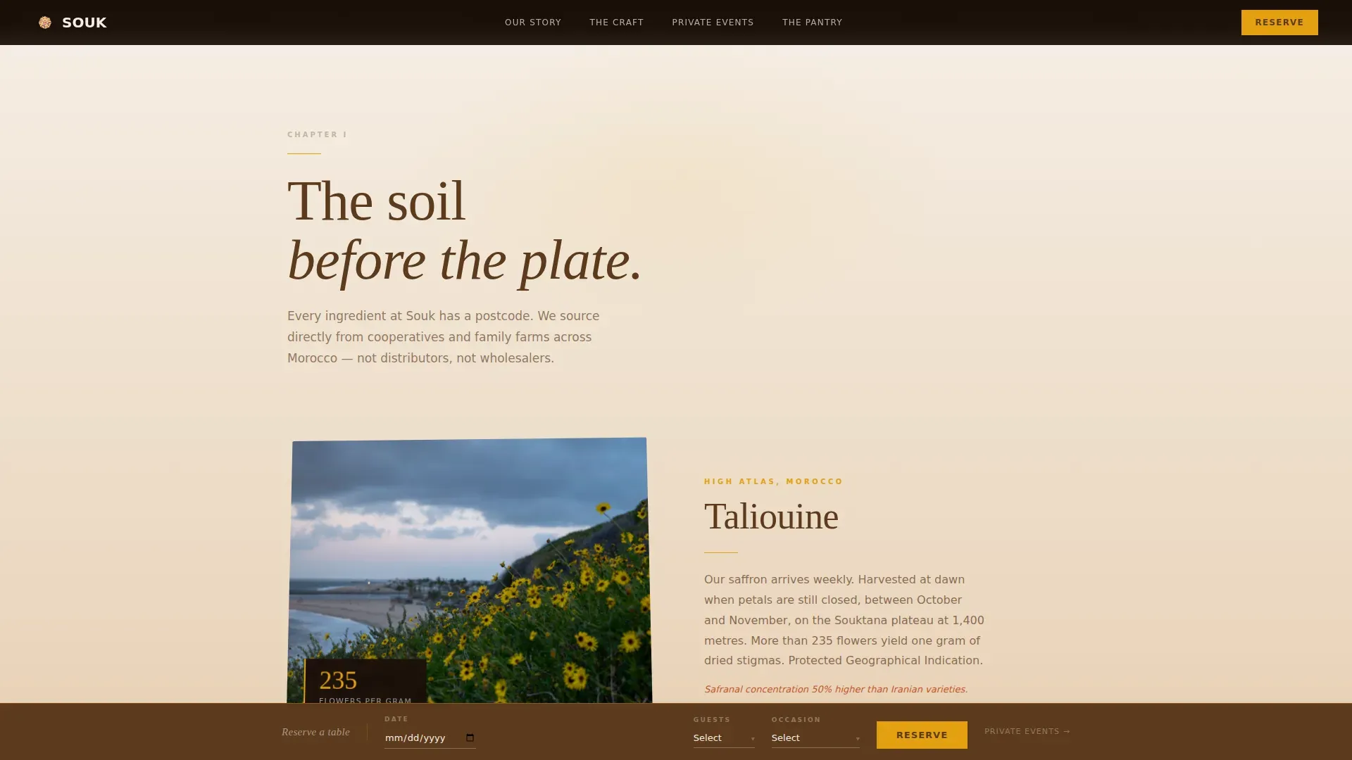 Immersive Moroccan Fine Dining Landing Page Template