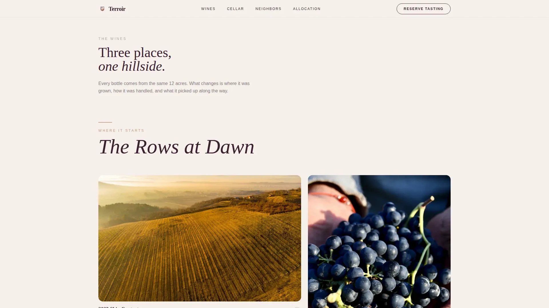 Luxe Minimal Natural Wine Maker Landing Page Template