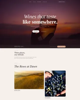 Luxe Minimal Natural Wine Maker Landing Page Template